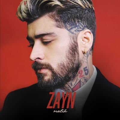 Team Zayn Malik Poland Profile