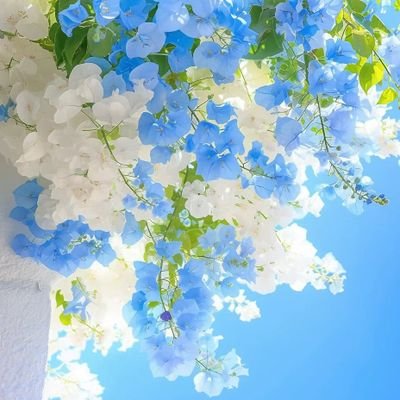 Barry_haha_'s profile picture. 