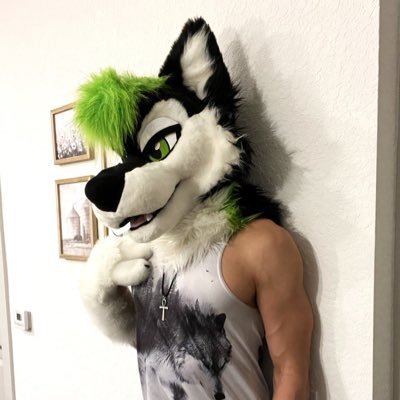 Gay dog boy in central FL area 18+ Mostly sfw