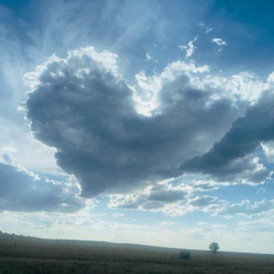 TlhotlhaST's profile picture. 