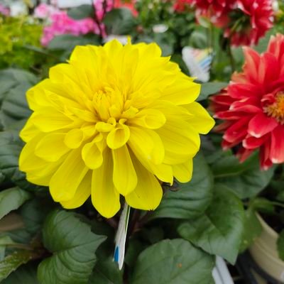 oni_kai_oni's profile picture. 雨とおとなとこども