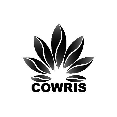 SendCowris's profile picture. Full financial service at your fingertips whenever, wherever.