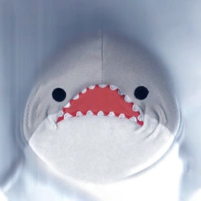 CopySharkCTO Profile Picture