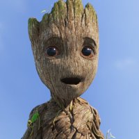 Groot (mainnet arc) (@groot_in_web3) 's Twitter Profile Photo