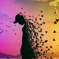 🅲🅰🆃🅴 🏳️‍🌈🐾swarla era🐾 (@infinitesoul29) 's Twitter Profile Photo