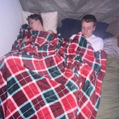 howtobuy7koalas's profile picture. 