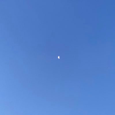 rizqibudiarto_'s profile picture. 