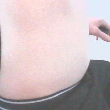 Fat Bellies Profile