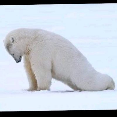 NeilCurrie13's profile picture. The Jorginho of Gaelic football. Built\Different