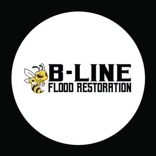 Flood and Water Damage Specialists