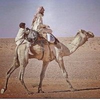 شاعر.... الشمال .. (@brakesgg11) 's Twitter Profile Photo