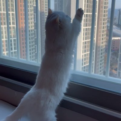 앞으로 나아갈 힘이 없고 물러설 여지가 없으며 멈추려 하지 않는 것을 불안이라고 합니다.