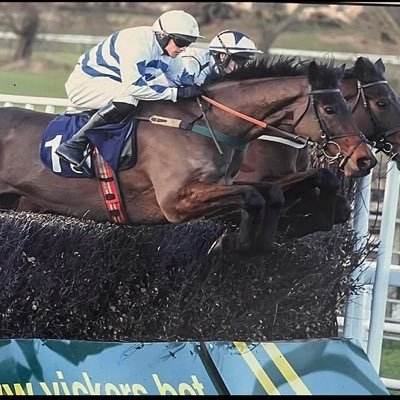 Sam England Racing dual purpose racehorse trainer based in Leeds West Yorkshire Sponsored by Yorkshire Health Solutions