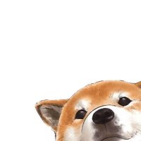 可玲—一隻柴犬的日記 (@kelingbdsm) 's Twitter Profile Photo