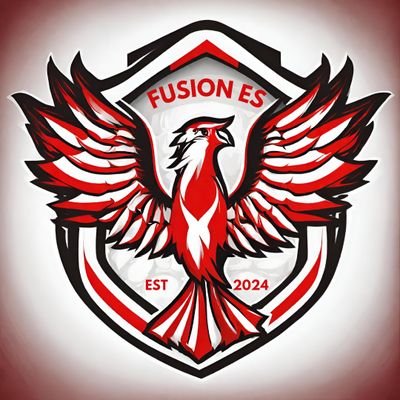 Owner & Manager NM Offical x page for Fusion ES