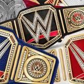 WWE/WWF Championship History(@WWEChampHistory) 's Twitter Profile Photo