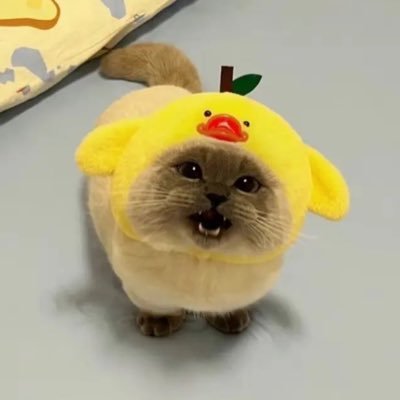 magyk0's profile picture. RL and Val