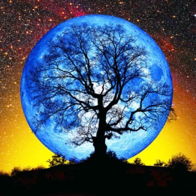 The more I see the more I Understand, The more I connected to other people's, The more completed I become.