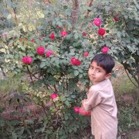 Zain Khalid (@khalidzain1796) 's Twitter Profile