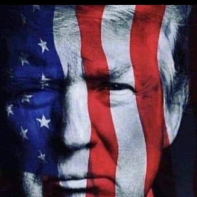 ChristineB55598's profile picture. MEGA MAGA Insurrectionist Deplorable