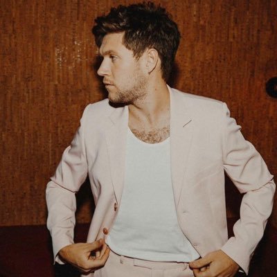 niallsmcu's profile picture. main: @eicstoniall fan account