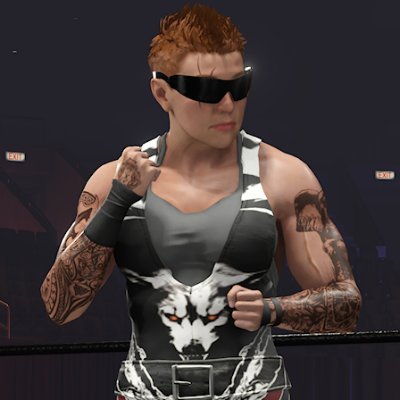 CAW profile - 30 time Champion in various Feds/ VP of Bad Company. Nemesis / UIW / CWE / WWA superstar.
Other CAWs: Takeshi, Gavin