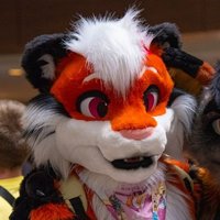 🏳️‍⚧️ Ky Tiger 🐯 🔜 FWA(@KyTyger) 's Twitter Profile Photo