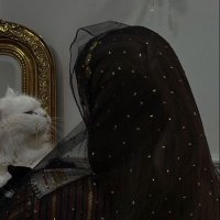 ᴹᴬ (@1vbrh) 's Twitter Profile