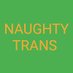 Naughty Trans (@NaughtyTrans11) Twitter profile photo