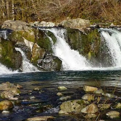 Jaaronimo_1985's profile picture. 