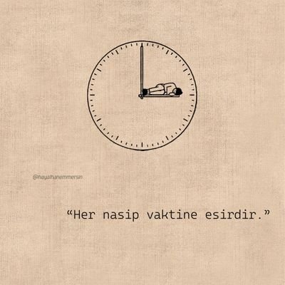 nilsalser's profile picture. swe