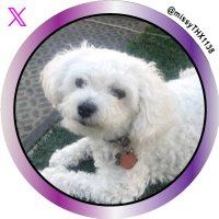 Melissa 🐭 (@missythx1138) 's Twitter Profile Photo Melissa 🐭 (@missythx1138) 's Twitter Profile Photo