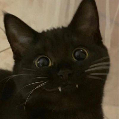 blackkyoonie's profile picture. 25 🩰 26/30 books read