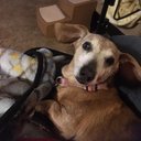 Deborah Honeycutt - @DeborahHon34140 - Twitter