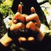 toratolion (@__toratolion__) Twitter profile photo toratolion (@__toratolion__) Twitter profile photo