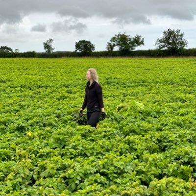 Welsh Potato Agronomist in East Anglia 🏴🥔 Harper Adams University Graduate
