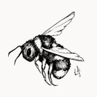 bee🐝(@0xbeehive) 's Twitter Profile Photo