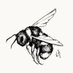 bee🐝 (@0xbeehive) Twitter profile photo bee🐝 (@0xbeehive) Twitter profile photo