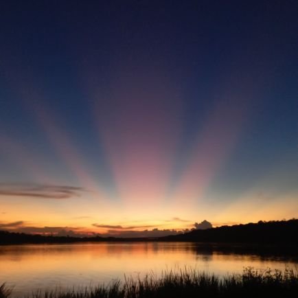 jeyvirt12's profile picture. *conta reserva*