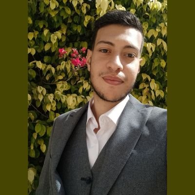 AliAsho18226987's profile picture. i Interested in Embedded systems