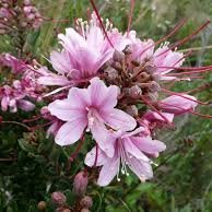 ideas20221's profile picture. 