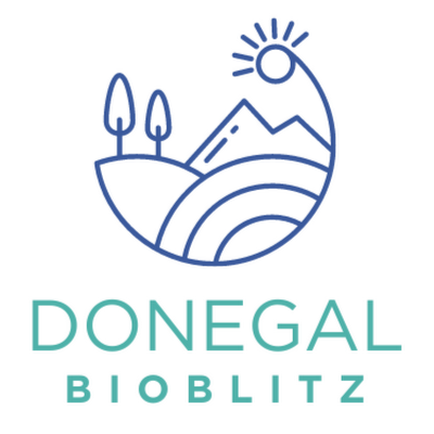 Donegal Bioblitz is a volunteer organisation which aims to increase biodiversity recording in NW Ireland. Next event 24/25 May 2024