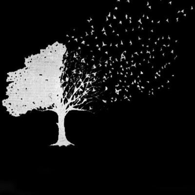 505__'s profile picture. ⠀⠀⠀⠀⠀⠀⠀⠀⠀⠀⠀⠀⠀. ﮼معلمةأجيال ⠀⠀⠀⠀⠀⠀⠀ ⠀⠀⠀⠀⠀ ⠀⠀⠀⠀⠀ ⠀⠀⠀⠀⠀⠀⠀⠀⠀⠀⠀⠀⠀⠀⠀⠀⠀⠀⠀⠀ ⠀⠀⠀⠀⠀⠀⠀⠀⠀⠀⠀⠀⠀⠀⠀⠀⠀⠀⠀⠀