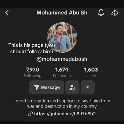 MohSh93 Profile Picture