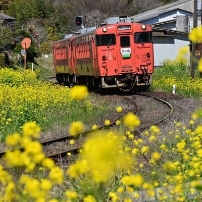 横浜市在住のプロフォトグラファー。
「Railscapes」と題して鉄道の四季折々の表情や人々との関わり合いをテーマに撮影。
Photo Blog（https://t.co/mpxP6jWgMk）開設中。