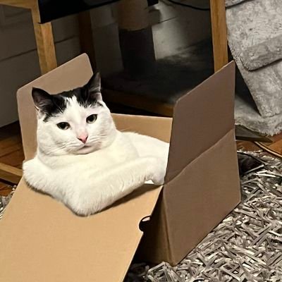 HeftoOo's profile picture. Andouillette Sauce Chaource. Amen