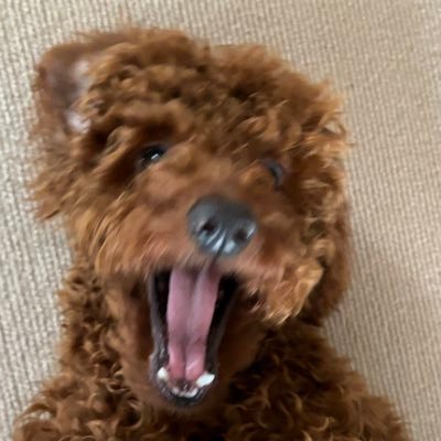 YpKtSEFGkzOatsr's profile picture. 趣味は読書、アニメ、散歩。繊細さんです。似たような趣味の方と繋がりたいです。無言フォロー失礼します🥹