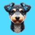 PUMI (@pumicoins) Twitter profile photo PUMI (@pumicoins) Twitter profile photo