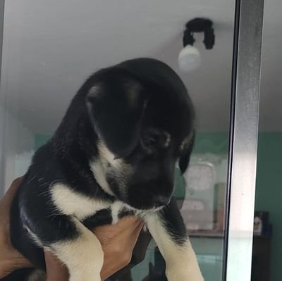 J0rgit020's profile picture. 