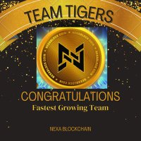 Nexa Blockchain Tigers Team(@Nexaablockchain) 's Twitter Profile Photo